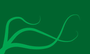 The Bayvak flag. The green colours and snaking green lines represent their connection to nature.